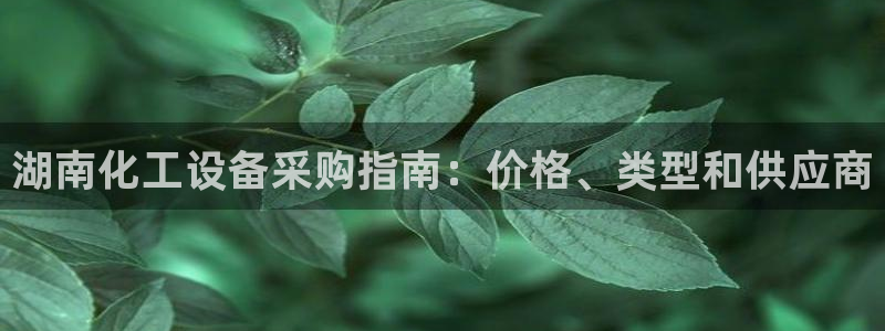 门徒娱乐下载手机版安装