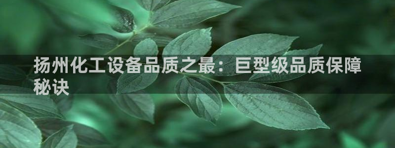 门徒娱乐是干嘛