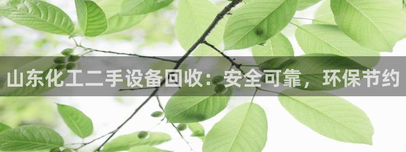 门徒平台登录地址