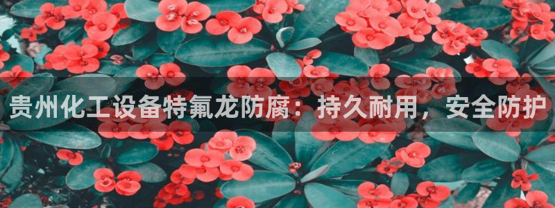 门徒平台例7O777