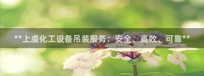 门徒娱乐是做什么的