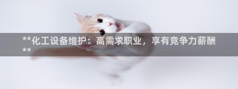 门徒娱乐能玩吗