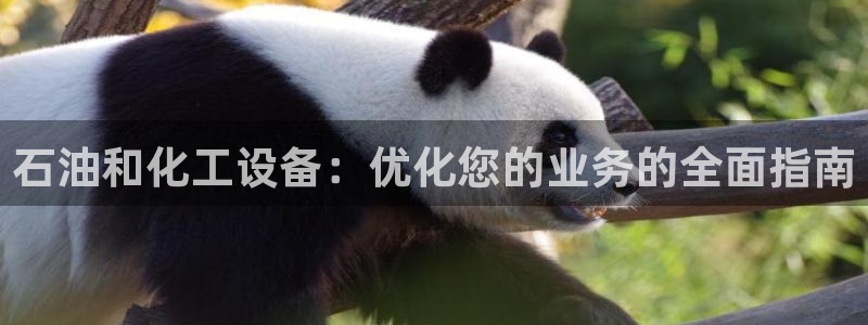 门徒娱乐创始人简介图片