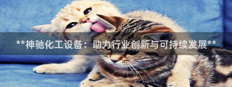 门徒娱乐
