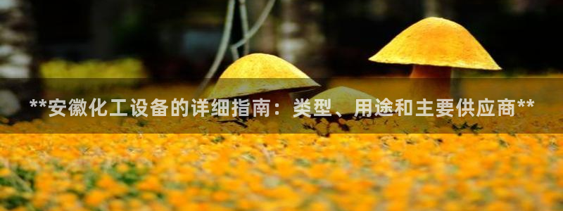 门徒平台马 411O31 门徒