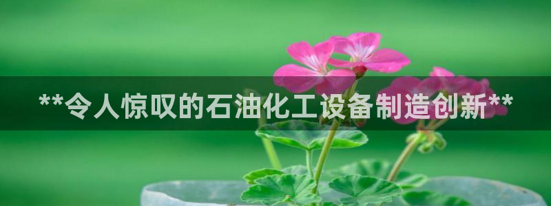 门徒娱乐成功案例分析：**令人惊叹的石油化工设备制