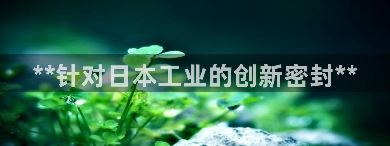 门徒平台理 411o31 门徒