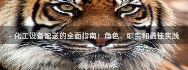 门徒平台型7O777