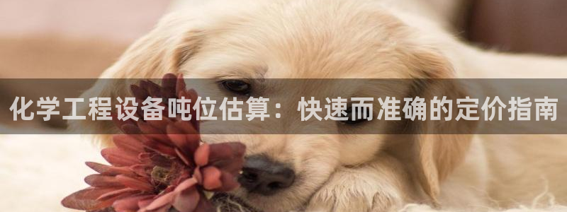 门徒平台注册中心电话