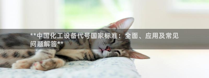 门徒娱乐平台代理公司