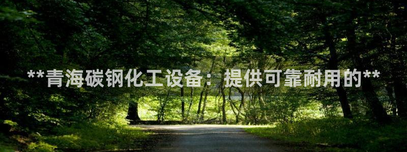 门徒平台代理多少钱：**青海碳钢化工设备：提供可靠