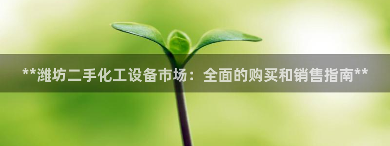 门徒娱乐创始人简介：**潍坊二手化工设备市场：全面的购买和销