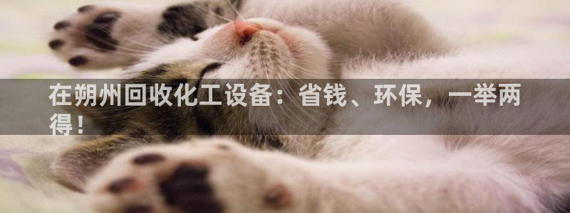 门徒娱乐负责人