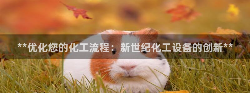 门徒平台代理怎么做