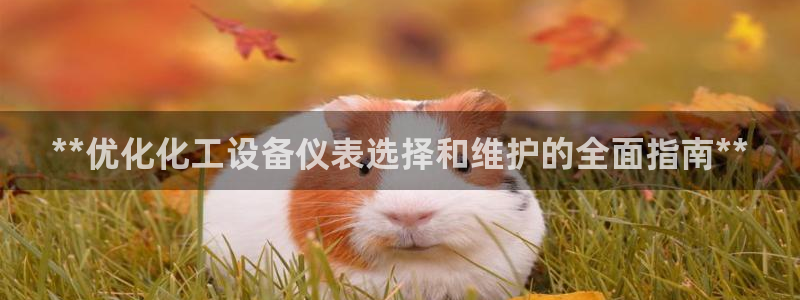门徒娱乐平台登录入口