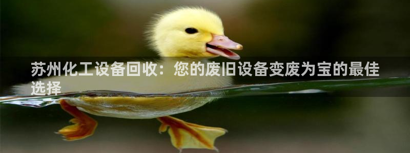 门徒娱乐注册下载安装