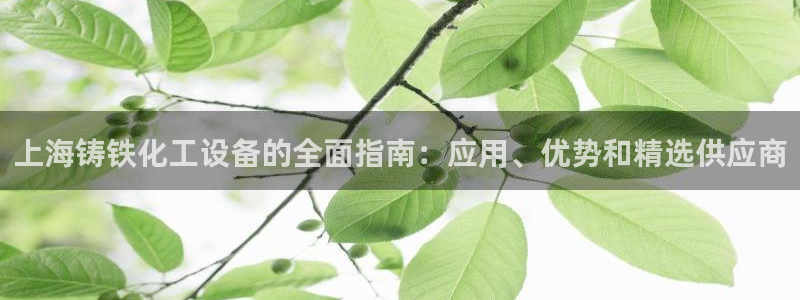 门徒娱乐平台登录入口