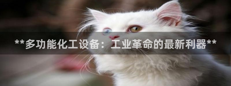 门徒平台注册中心官网查询