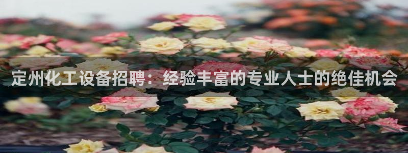 门徒娱乐测速