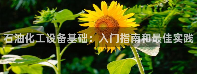 门徒娱乐是什么意思啊