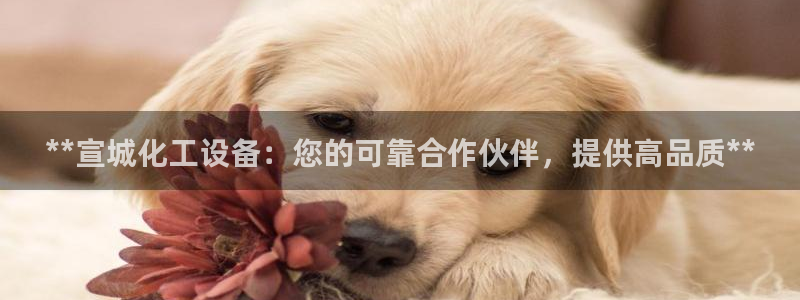 门徒娱乐是做什么的