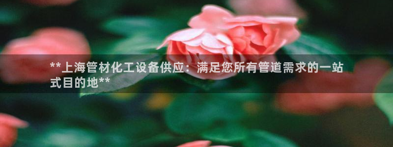 门徒平台入.门徒平台.几年了.长久.中国