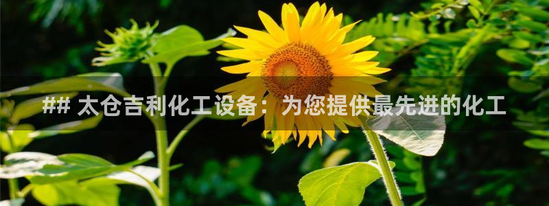 门徒娱乐有没有分红