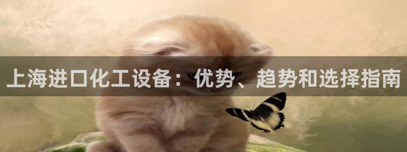 门徒娱乐充值安全吗现在