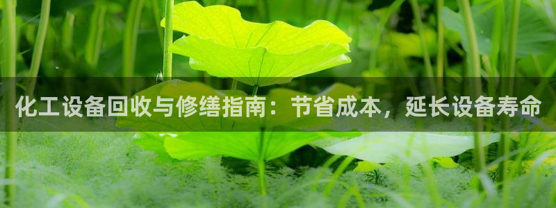 门徒娱乐成功案例分析