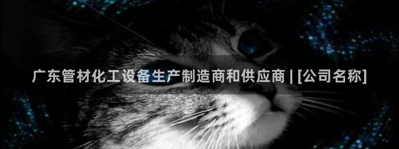 门徒平台定制 411O31 门徒