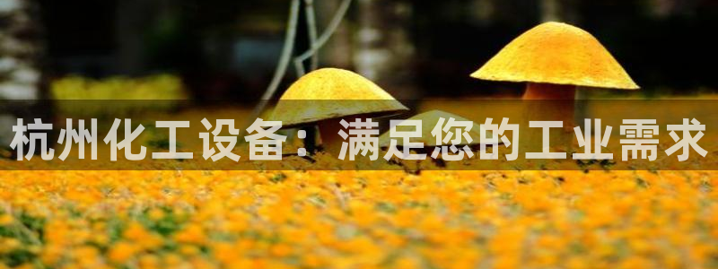门徒娱乐平台代理怎么做
