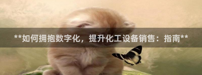 门徒平台途 411031 门徒