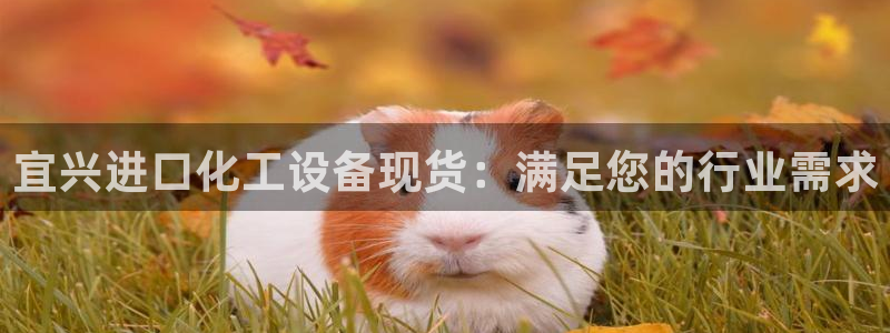 门徒娱乐他494o3 主管