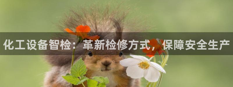 门徒平台招商