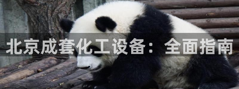 门徒娱乐企业简介
