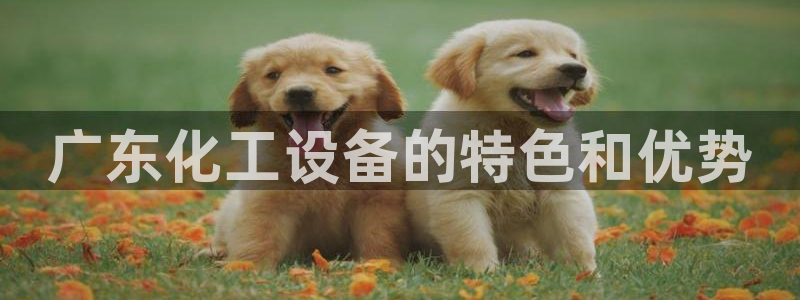 门徒平台入.门徒平台.怎么样.长久.中国