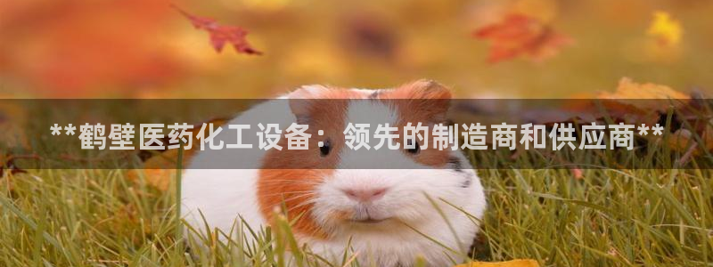 门徒平台招 5O6917 平台
