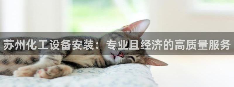 门徒娱乐app代理加盟多少钱