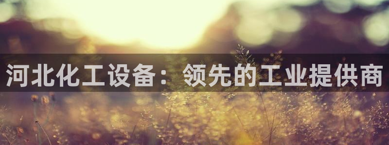 门徒平台代理