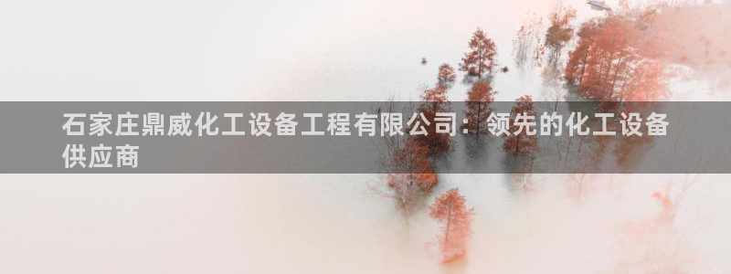 门徒娱乐注册下载安装：石家庄鼎威化工设备工程有限公