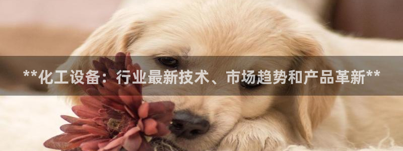 门徒平台云 411o31 门徒