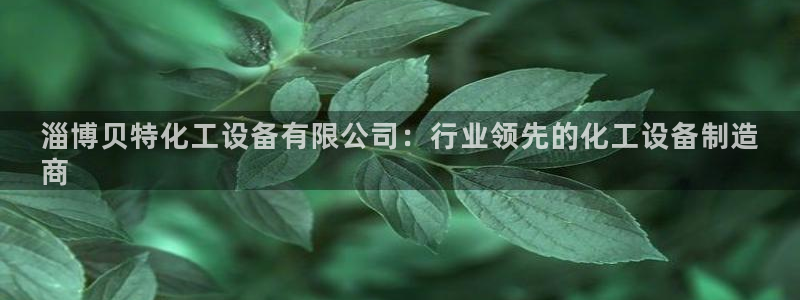 门徒平台商 411O31 门徒：淄博贝特化工设备有限公司：行
