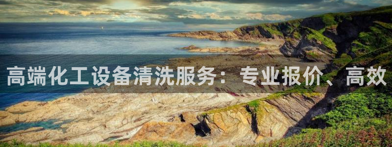 门徒平台寻 585341 门徒：高端化工设备清洗服务：专业报