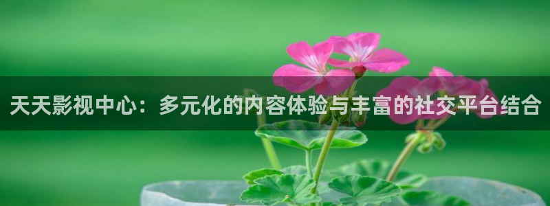 久一青青草原在线：天天影视中心：多元化的内容体验与丰富的社交平台结合