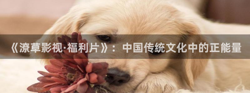 青青视频免费：《潦草影视·福利片》：中国传统文化中的正能量