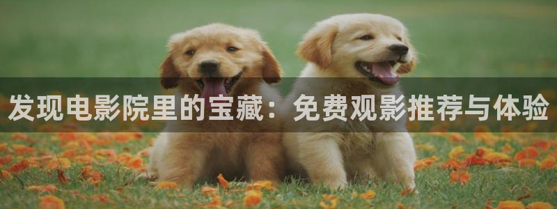 久久青青影院：发现电影院里的宝藏：免费观影推荐与体验