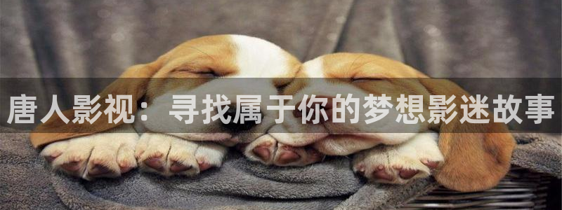 青青影院：唐人影视：寻找属于你的梦想影迷故事