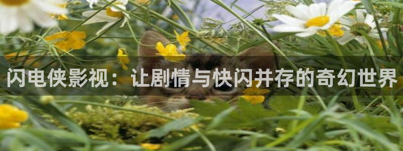 青青免费观看视频：闪电侠影视：让剧情与快闪并存的奇幻世界