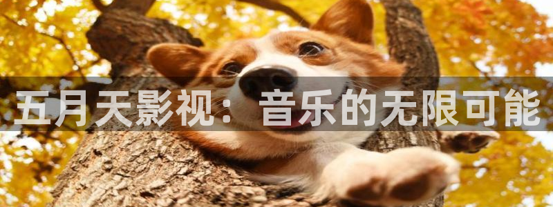 青青影院：五月天影视：音乐的无限可能