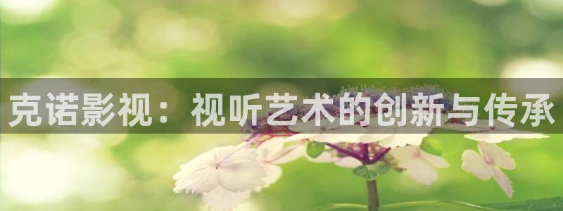 青青电影网：克诺影视：视听艺术的创新与传承